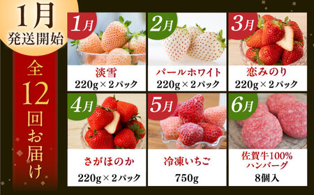 【2026年発送分 先行予約】【全12回定期便】生産者を応援！いちごと佐賀牛を楽しむ定期便 / 佐賀県  [41AAZZ008]