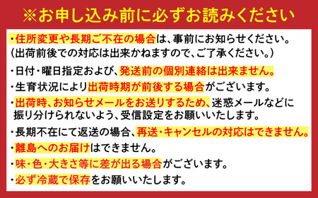 【2026年発送分 先行予約】【全12回定期便】生産者を応援！いちごと佐賀牛を楽しむ定期便 / 佐賀県  [41AAZZ008]