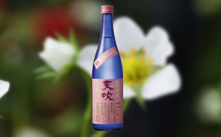 天吹 純米吟醸 いちご酵母 生 720ml×1本 / 佐賀県 / 天吹酒造合資会社 [41ANCX009]