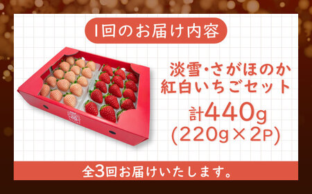 【2025年発送分先行予約】【全3回定期便】淡雪・さがほのか 紅白いちごセット 計1.32kg （220g×2パック×3回） / いちご イチゴ 苺 果物 フルーツ / 佐賀県 / 岸川農園[41ASAG006]