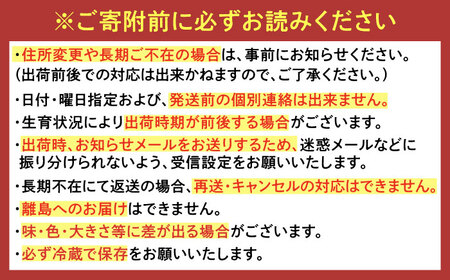 【2025年発送分先行予約】【全3回定期便】淡雪・さがほのか 紅白いちごセット 計1.32kg （220g×2パック×3回） / いちご イチゴ 苺 果物 フルーツ / 佐賀県 / 岸川農園[41ASAG006]