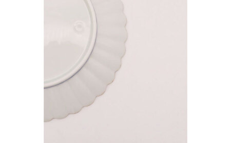 【有田焼】染付芙蓉手菊型6寸皿（2点セット） / 有田焼 焼き物 / 佐賀県 [41APAD030]