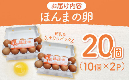 平飼いニワトリの有精卵！（10個×2パック）/ 卵  / 佐賀県 [41AJAA001]