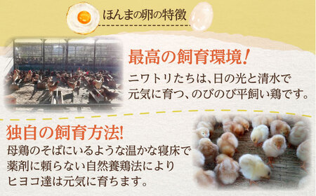 平飼いニワトリの有精卵！ほんまの卵 40個（10個×4パック） / 佐賀県 / 本間農園 [41AJAA003]