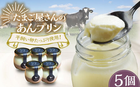 あんプリン 5個 / プリン  / 本間農園 [41AJAA006]