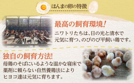 平飼い卵で作る焼き菓子セット 計9袋（3種類×3袋） / 佐賀県 / 本間農園 [41AJAA009]