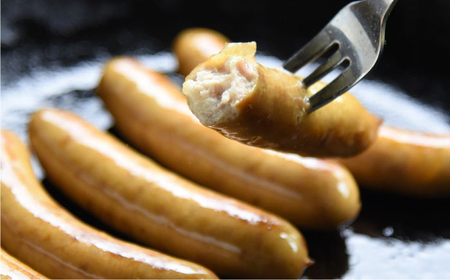 ほんまのありがとウィンナー 計36本（6本×6袋） / 佐賀県 / 本間農園 [41AJAA010]