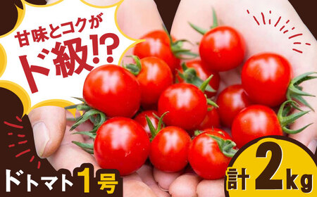 ドトマト1号 2kg / トマト 野菜 / 佐賀県 [41AAAC001]
