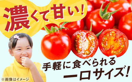 ドトマト1号 2kg / トマト 野菜 / 佐賀県 [41AAAC001]