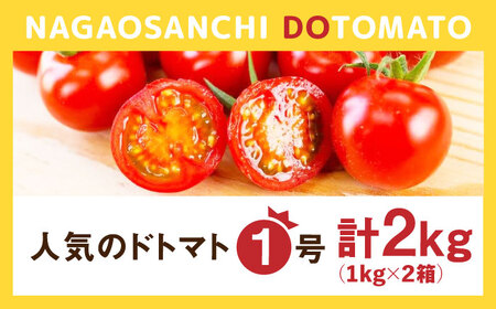 ドトマト1号 2kg / トマト 野菜 / 佐賀県 [41AAAC001]