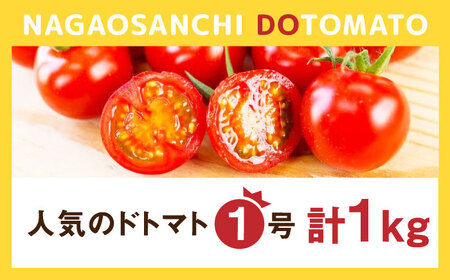 人気のドトマト1号 1kg / 佐賀県 / 永尾産ち [41AAAC002]