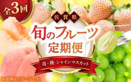 【2026年発送分 先行予約】【全3回定期便】佐賀県の生産者を応援！いちごと桃とシャインマスカットを楽しむ定期便 / 佐賀県ふるさと納税 [41AAZZ020]