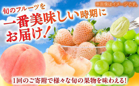 【2026年発送分 先行予約】【全3回定期便】佐賀県の生産者を応援！いちごと桃とシャインマスカットを楽しむ定期便 / 佐賀県ふるさと納税 [41AAZZ020]