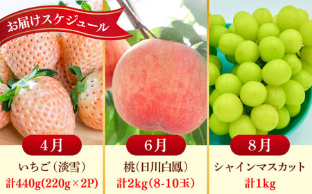 【2026年発送分 先行予約】【全3回定期便】佐賀県の生産者を応援！いちごと桃とシャインマスカットを楽しむ定期便 / 佐賀県ふるさと納税 [41AAZZ020]