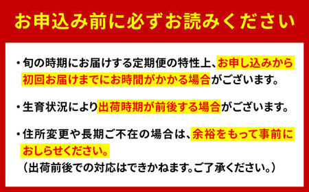 【2026年発送分 先行予約】【全3回定期便】佐賀県の生産者を応援！いちごと桃とシャインマスカットを楽しむ定期便 / 佐賀県ふるさと納税 [41AAZZ020]