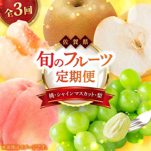【2026年発送分 先行予約】【全3回定期便】佐賀県の生産者を応援！桃とシャインマスカットと梨を楽しむ定期便 / 佐賀県ふるさと納税 [41AAZZ021]
