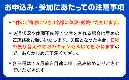 【体験】【限定1名】SAGA久光スプリングス ホームゲームでの始球式実施 / 佐賀県 / SAGA久光スプリングス株式会社 [41ACAB003]
