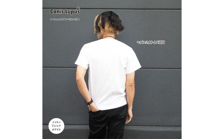 コットンTシャツ ホワイト （S-XLサイズ） / Tシャツ / 佐賀県 / Canis Lupus [41AAAN002]