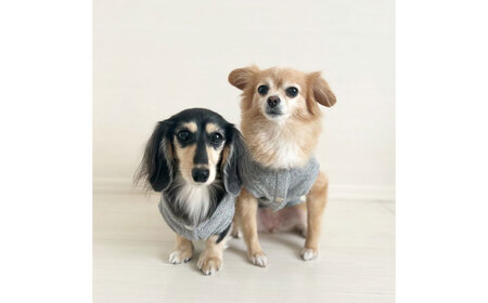 タオル地パーカー 杢グレー （ワンちゃん用）（SS/S/MM/Mサイズ） / 佐賀県 犬 ドッグ  / Canis Lupus[41AAAN010]