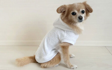 タオル地パーカー ホワイト （ワンちゃん用）（SS/S/MM/Mサイズ） / 佐賀県 犬 ドッグ / Canis Lupus [41AAAN009]