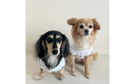 タオル地パーカー ホワイト （ワンちゃん用）（SS/S/MM/Mサイズ） / 佐賀県 犬 ドッグ / Canis Lupus [41AAAN009]