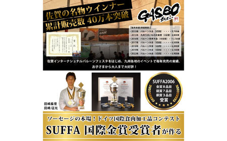 GASBO（ガスボー）計60本（100g×2本入り×30P） / 佐賀県 / 旬菜舎さと山 [41AABM038]