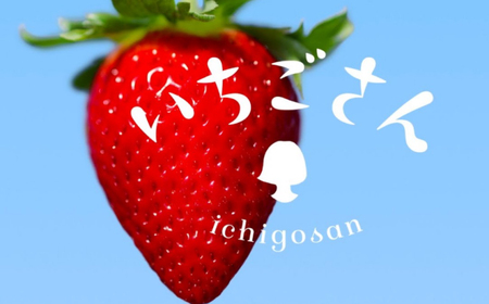 いちごさん4パック / 佐賀県 / 一般社団法人龍乃 [41ANAC001]
