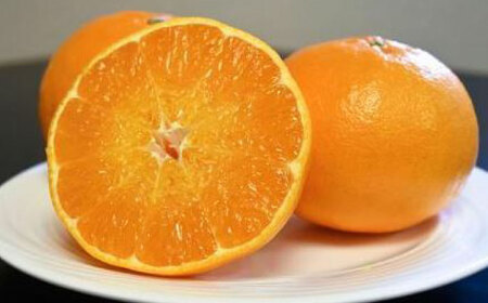 【2026年発送分 先行予約】にじゅうまる 約5kgバラ入りお徳用 / 佐賀県 / 一般社団法人龍乃 [41ANAC009]