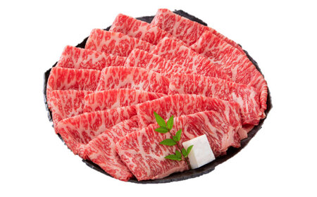 佐賀牛ローススライス 300g / 佐賀県 / 一般社団法人龍乃 [41ANAC096]
