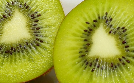 キウイフルーツ3.6kg / 果物 / 佐賀県 / 一般社団法人龍乃 [41ANAC012]