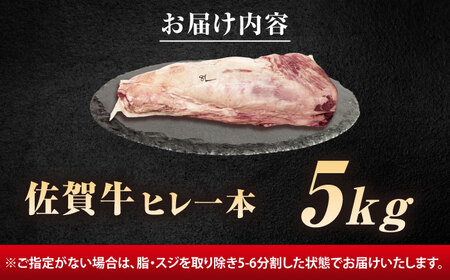 【ロマ佐賀】厳選佐賀牛ヒレ1本5kg / 有限会社片岡精肉店 [41AEAC013]