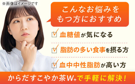 【全2回定期便】からだすこやか茶Ｗ+ 計48本（350ml×24本×2回） / お茶 トクホ / コカ・コーラ [41AFAO042]