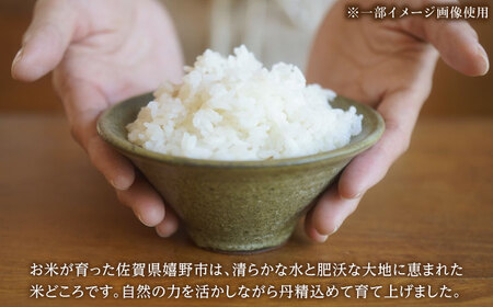 令和7年産 ゆめしずく5kg 白米 / 佐賀県 白米 [41AGAC002]