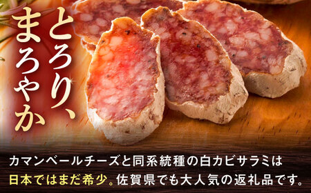 【ロマ佐賀】【のし・ギフト対応可】粉雪サラミ3本 / 豚肉 ソーセージ サラミ [41ABCM012]