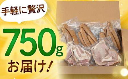訳あり！ほまれハム・ソーセージ詰め合わせ 計750g（約150g×5パック） / 佐賀県 / 有限会社田嶋畜産 [41ATBP005]