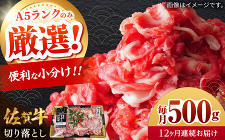 【全12回定期便】佐賀牛切り落とし 計6kg（500g×12回） / 佐賀県 / 株式会社中山牧場[41AOCW022]