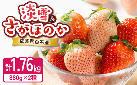 淡雪・さがほのか 紅白いちごセット 220g×8パック / 佐賀県 / 岸川農園 [41ASAG012] 6,750円