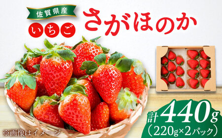 さがほのか 220g×2パック / 佐賀県 / 鐘ヶ江農園 [41ASBK005]