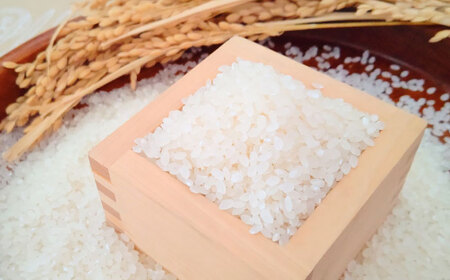 夢しずく 無洗米 5kg / 無洗 / 佐賀県 / 大塚米穀店 [41ANAD029]