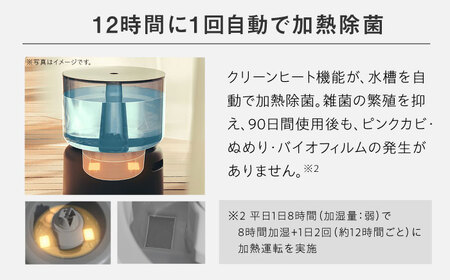 cado 加湿器 STEM 500H ステム クールグレー / 家電 国産 日本製 / 佐賀県 / 株式会社カドー [41ANAE002]