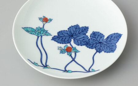 有田焼】重要無形文化財 今右衛門窯 色絵磁器 万年青絵 飾皿 - 佐賀県