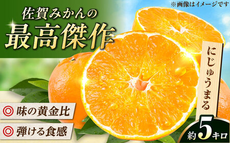 佐賀県産みかん にじゅうまる約5kg / フルーツ 柑橘 唐津 にじゅうまる / リフルット株式会社 [41ABAA023]