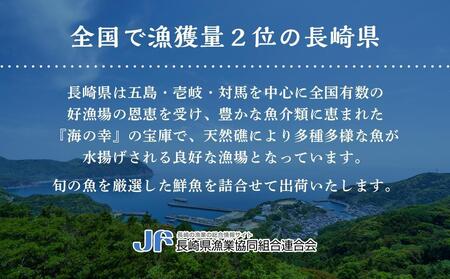 【6回 定期便】長崎県産 本マグロ中落ち 約600g（約200g×3P）