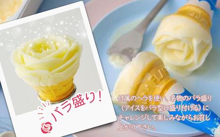 ちりんちりんアイス・ファミリーセットW（チョコ・バナナ）450ｍｌ×2