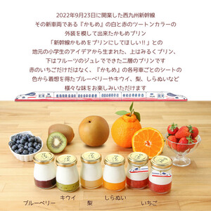 かもめプリン5種6個セット