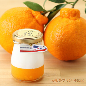 かもめプリン5種6個セット