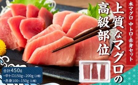 上質なマグロの高級部位 本マグロ 中トロ 赤身セット 450g 長崎県 県庁 ふるさと納税サイト ふるなび