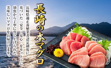 上質なマグロの高級部位 本マグロ 中トロ 赤身セット 450g 長崎県 県庁 ふるさと納税サイト ふるなび