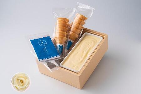 【AA061】前田冷菓 ちりんちりんアイス・ファミリーセット（コーン10個分付き）［プレーン］