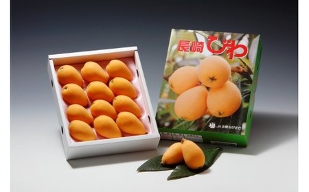 【先行予約 2026年3月下旬より順次発送】長崎ハウスびわ 500g |  びわ